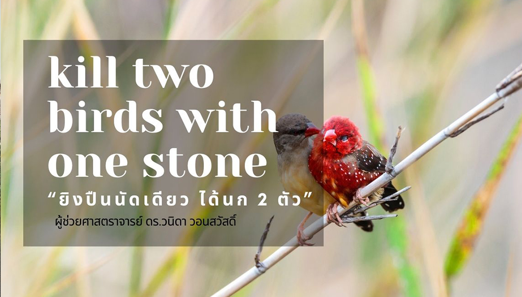 “ยิงปืนนัดเดียว ได้นก 2 ตัว งานหนึ่งชิ้น ไม่ควรถูกใช้แค่ครั้งเดียว แต่ควรสร้างคุณค่าให้ได้มากที่สุด”