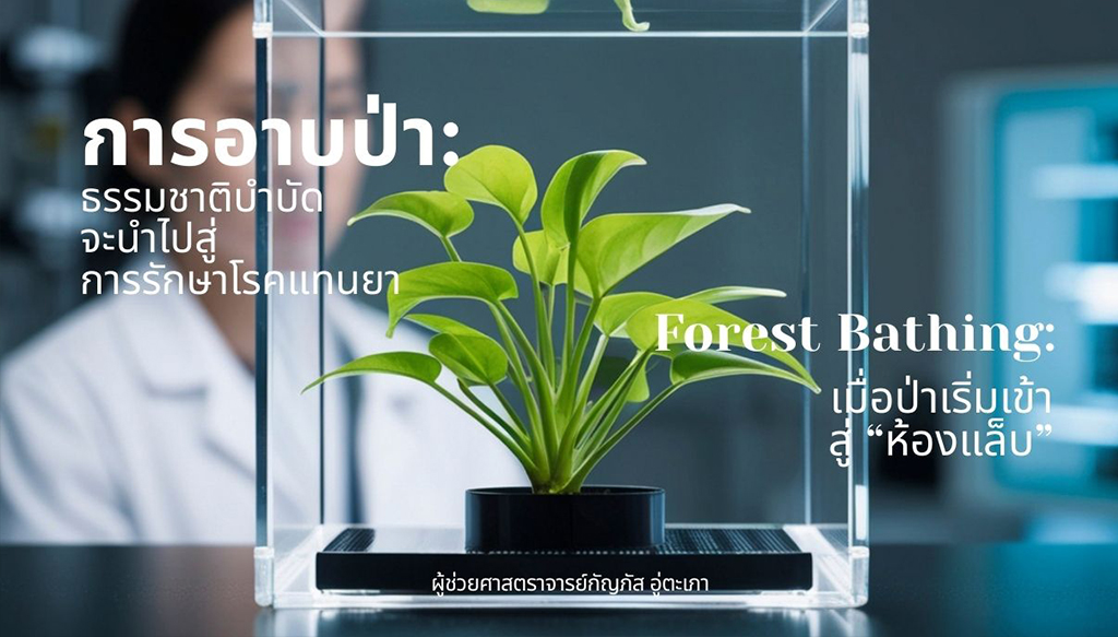 การอาบป่า: ธรรมชาติบำบัดจะนำไปสู่การรักษาโรคแทนยา Forest Bathing: เมื่อป่าเริ่มเข้าสู่ห้องแล็บ